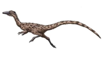 Podokesaurus_restoration_t715