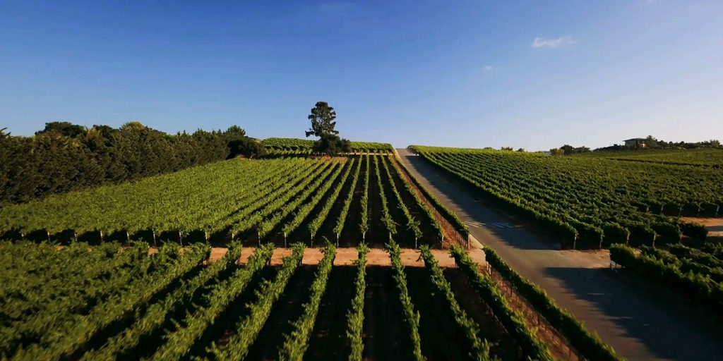 Esta región de California está regalando dinero por visitar sus bodegas, cervecerías y playas