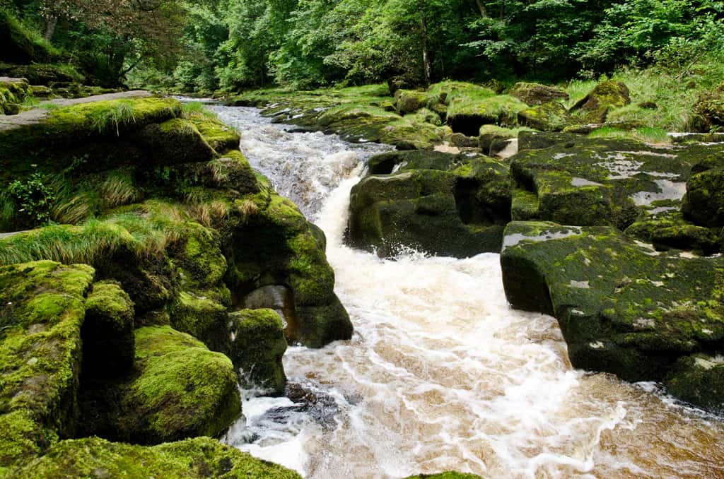 The Strid