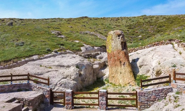 Este árbol petrificado está en Grecia, tiene 20 millones de años y se encuentra intacto