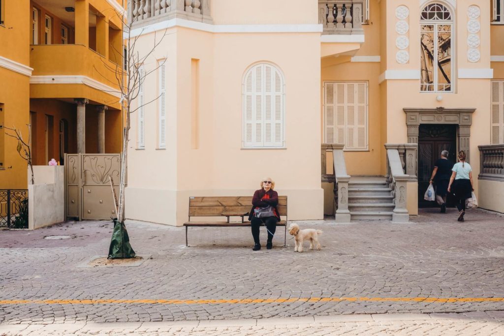 image ciudades para visitar con tu mascota cristina gottardi A8jwotHfXWY unsplash 1