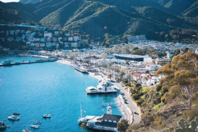 Isla Catalina, en Estados Unidos, ya está lista para volver a recibir a turistas