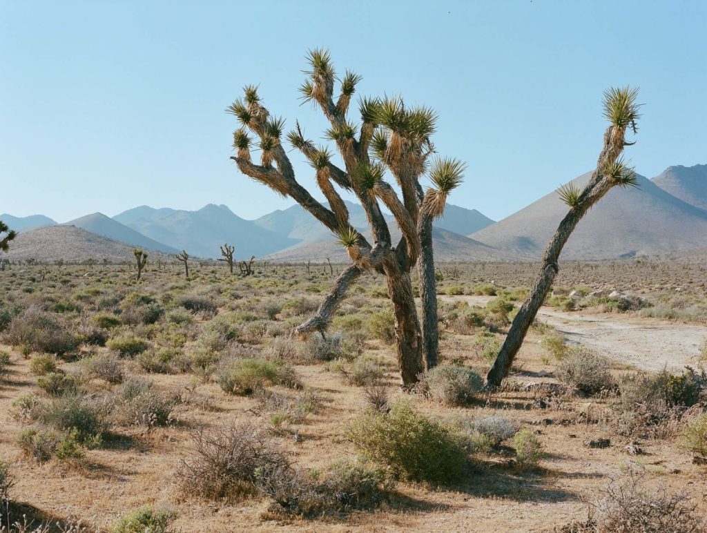 Escenarios de Star Wars: Death Valley, USA