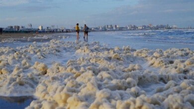 mar-del-plata-que-las-playas-se-llenaron-espuma