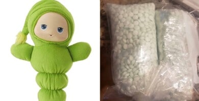 Una familia encontró unas 5.000 pastillas en un peluche que compraron para su hija