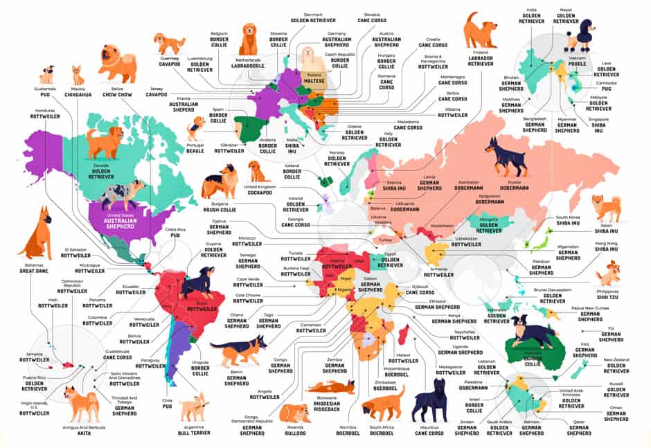 Este mapa muestra cuáles son los perros más populares del mundo