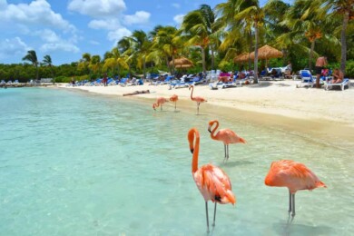 Playas de Aruba