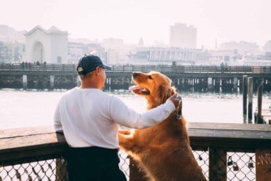 Ciudades para visitar con tu mascota