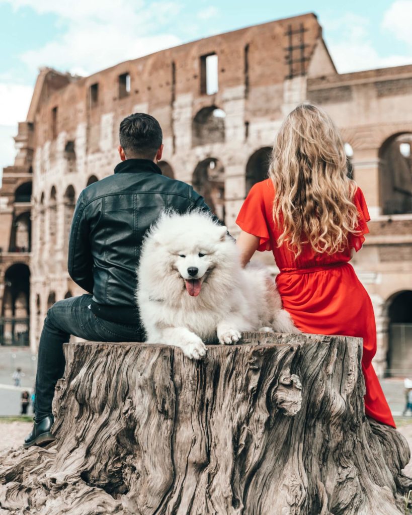 image ciudades para visitar con tu mascota spencer davis Rt1gMcPVnhk unsplash 1