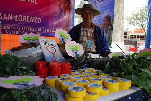 Médicos tradicionales de Bolivia son capacitados en el uso de plantas medicinales contra el COVID-19 