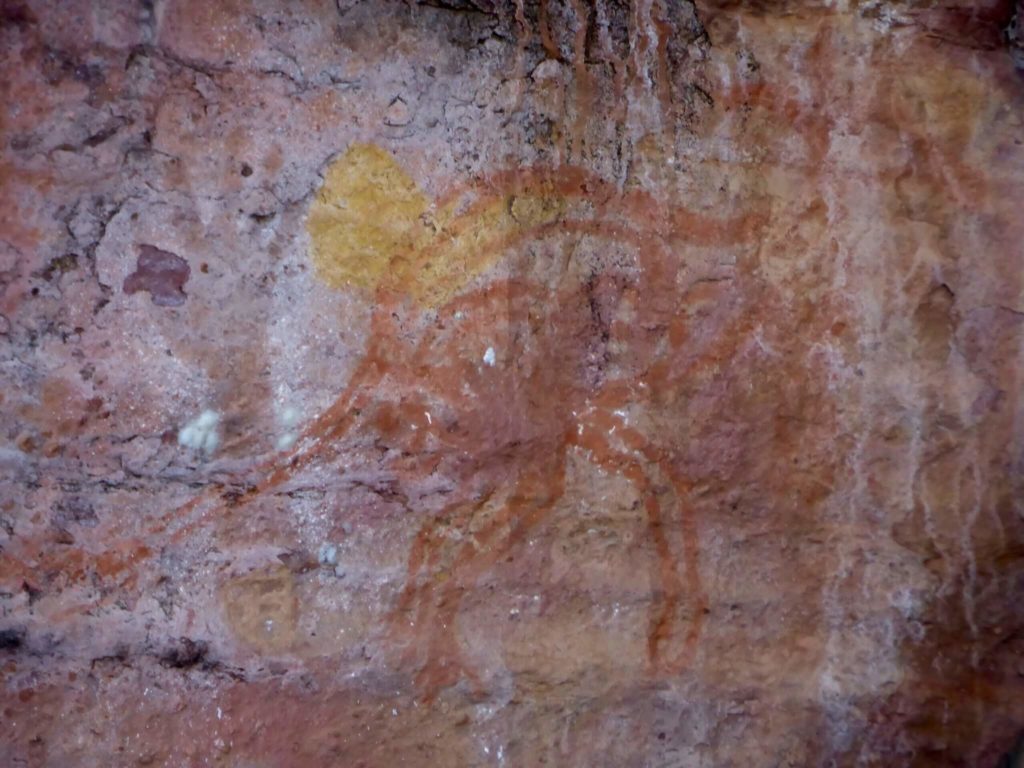 image Parque Nacional Kakadu 15482206092 7ad3768f7c k 1