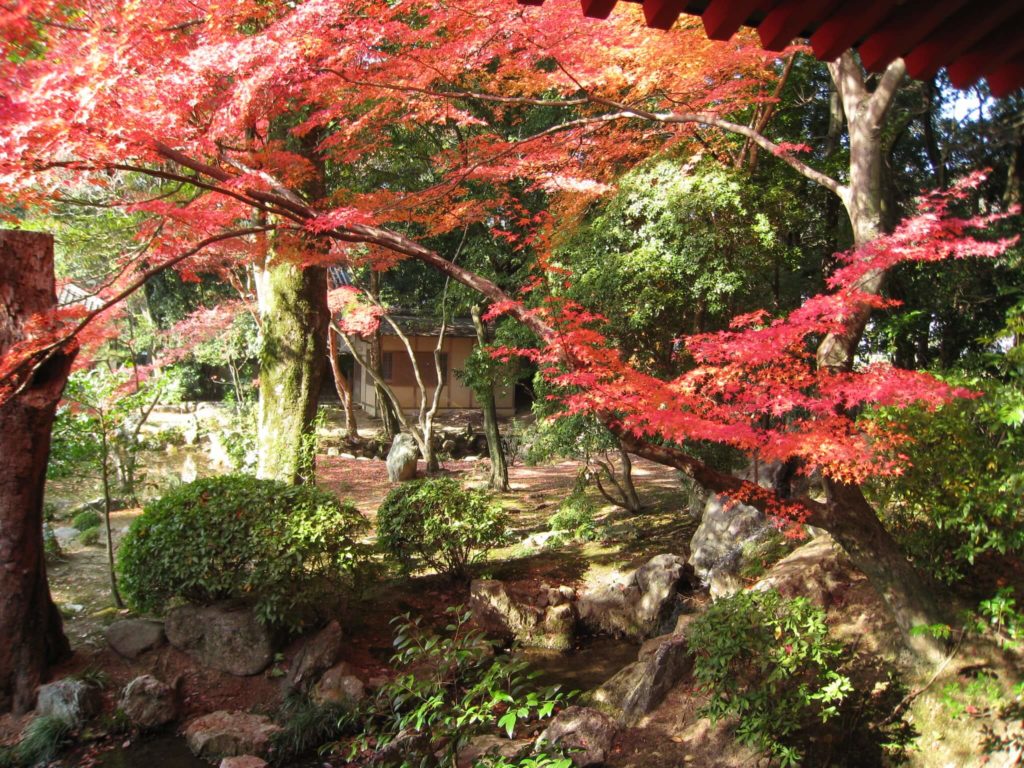 image Arashiyama 2320059987 ea67f0fde6 k 1