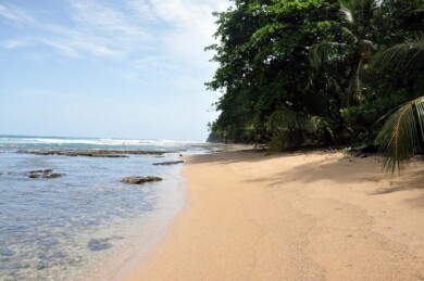 manzanillo