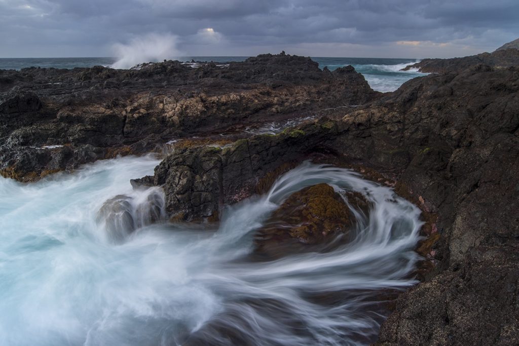 image World Nature Photography Awards 2020 Estas son las fotos ganadoras de los World Nature Photography Awards 2020 un ano donde la naturaleza encontro su maximo esplendor 14