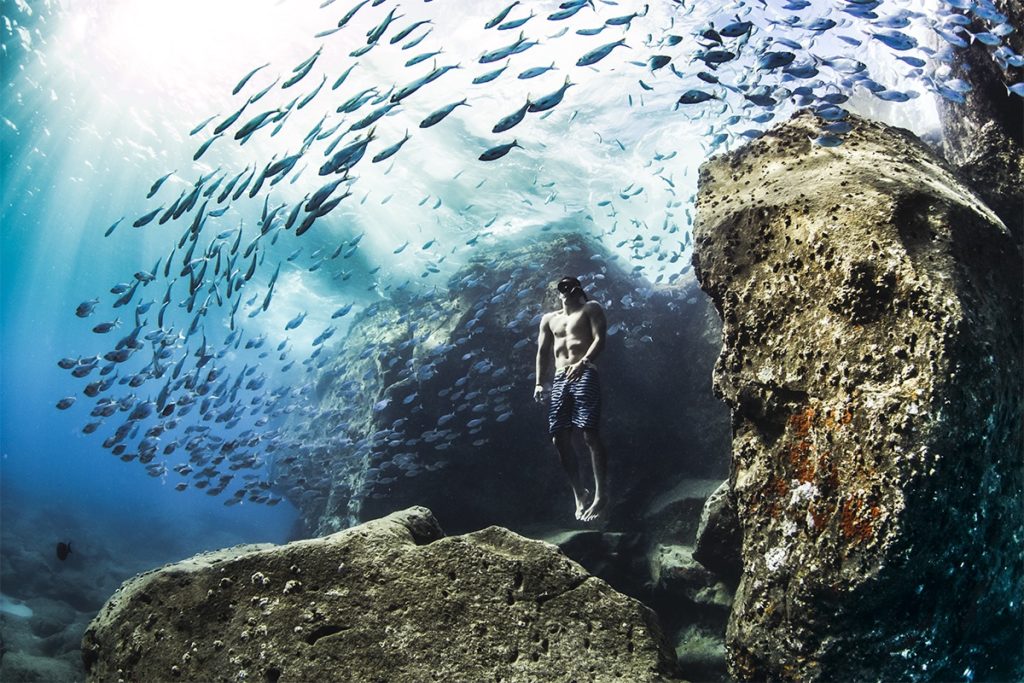 image World Nature Photography Awards 2020 Estas son las fotos ganadoras de los World Nature Photography Awards 2020 un ano donde la naturaleza encontro su maximo esplendor 3