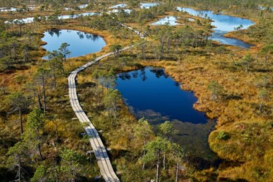 Este nuevo sendero de 1.330 millas unirá los bosques y los parques nacionales de Lituania, Estonia y Letonia, permitiendo explorar a pie la región del Báltico 2