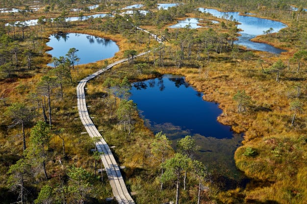 Este nuevo sendero de 1.330 millas unirá los bosques y los parques nacionales de Lituania, Estonia y Letonia, permitiendo explorar a pie la región del Báltico