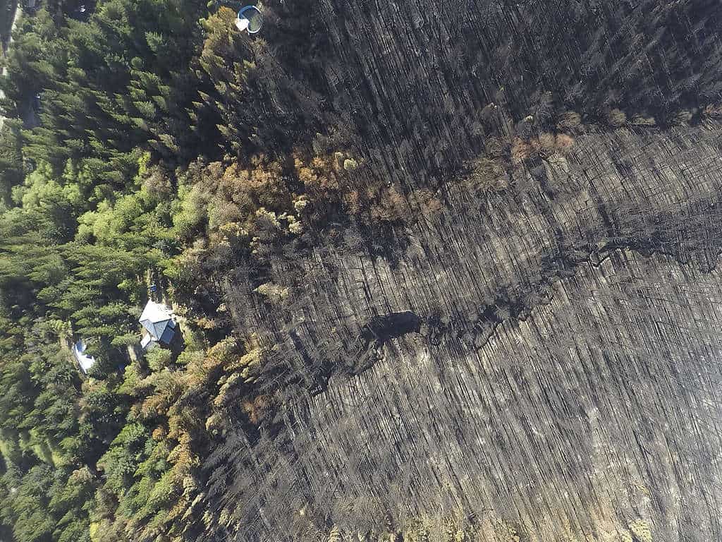 Incendios en la Patagonia argentina: Difunden impactantes imágenes de las áreas más afectadas el fuego