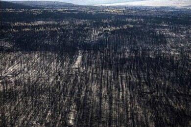 Incendios en la Patagonia argentina 3