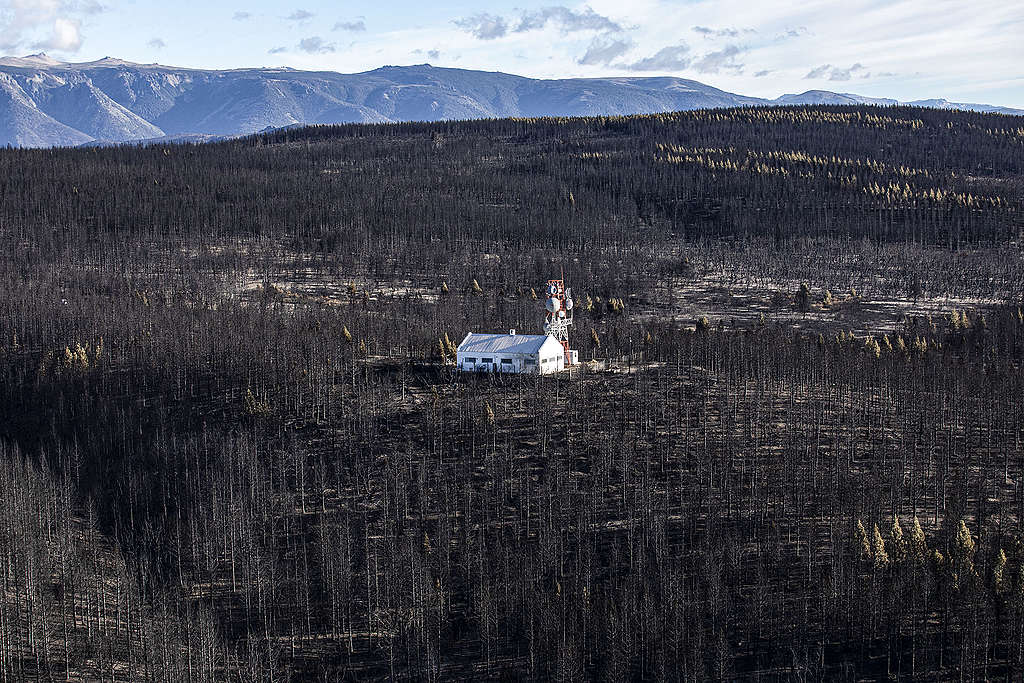 image Incendios en la Patagonia argentina Incendios en la Patagonia argentina 6