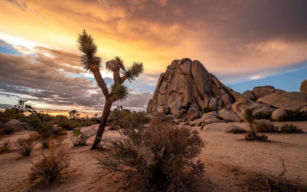 parques nacionales más visitados de estados unidos