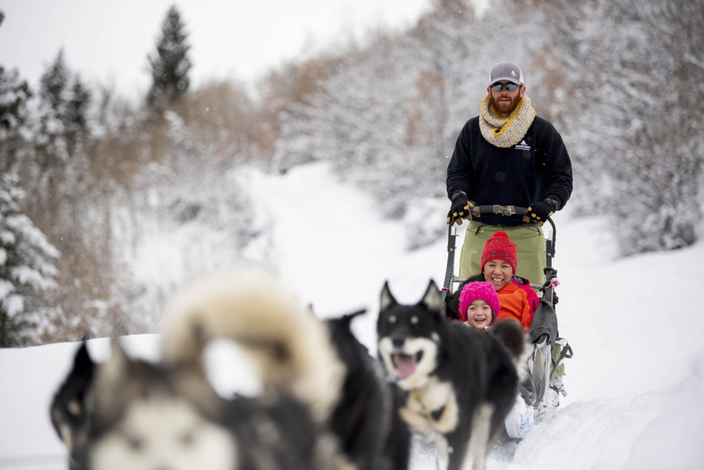 image park city MS Family Dogsledding 05 1