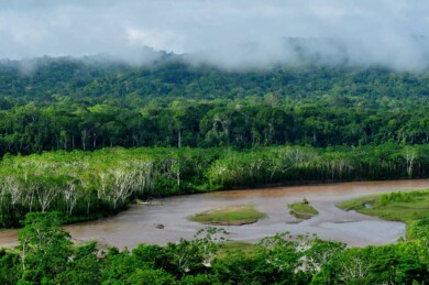 amazonas