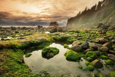 Olympic-National-park