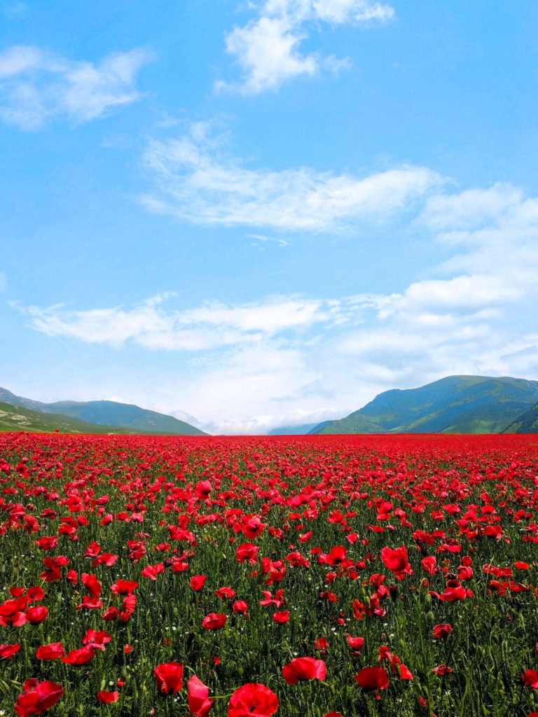 image visitar armenia alexandr hovhannisyan RkOtjbPuHZw unsplash 1