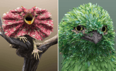 artista ilustrador australiano recrea animales con pétalos y hojas