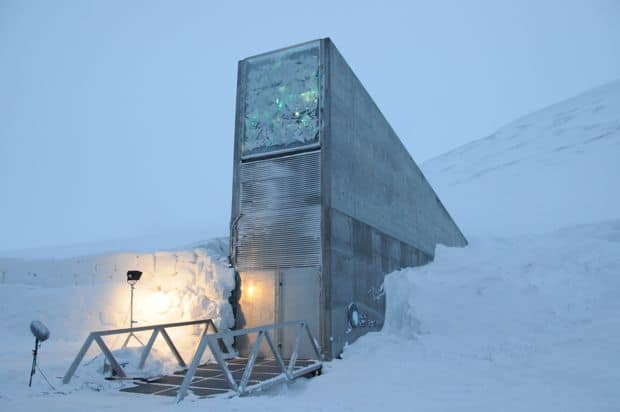 Científicos quieren construir un 'arca de Noé' en la luna para conservas semillas, esperma y muestras de diferentes especies