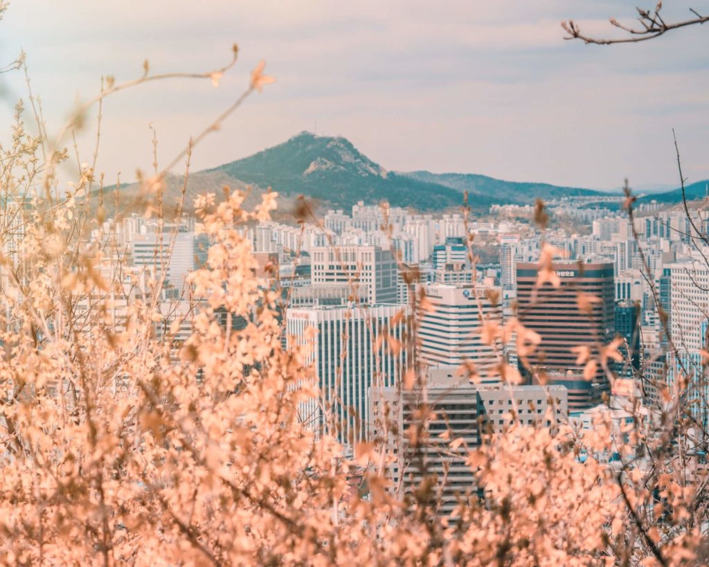 image lugares que visitar en Corea del Sur cait ellis V1PwekZF9hA unsplash 1