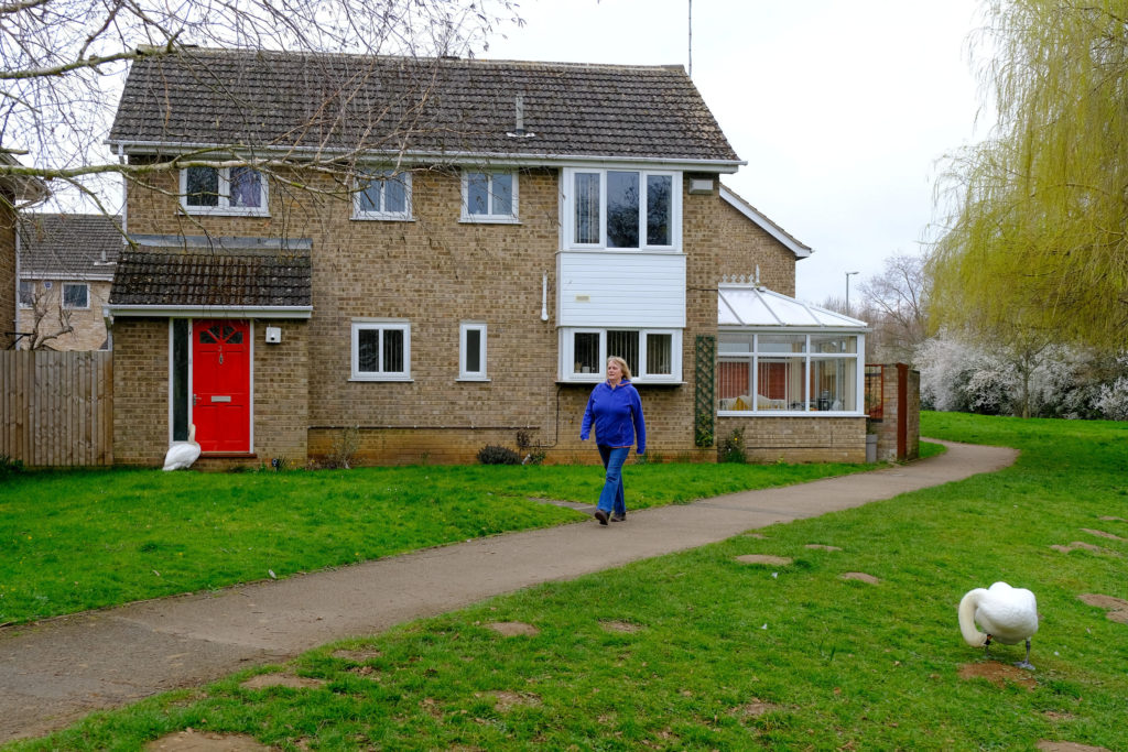 Un barrio de Inglaterra suele ser visitado por un cisne que con mucha insistencia golpea todas sus puertas