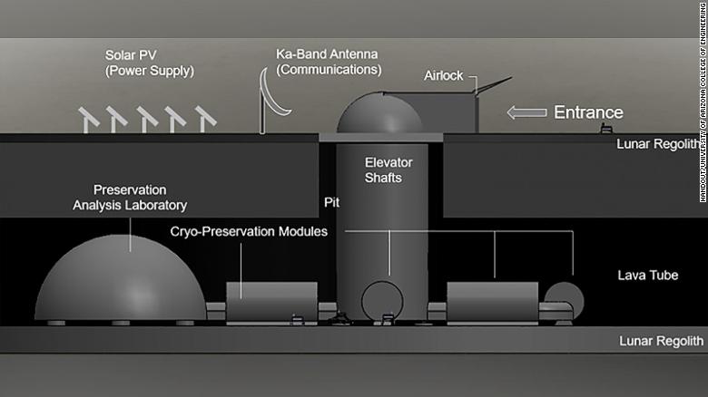 Científicos quieren construir un 'arca de Noé' en la luna para conservas semillas, esperma y muestras de diferentes especies