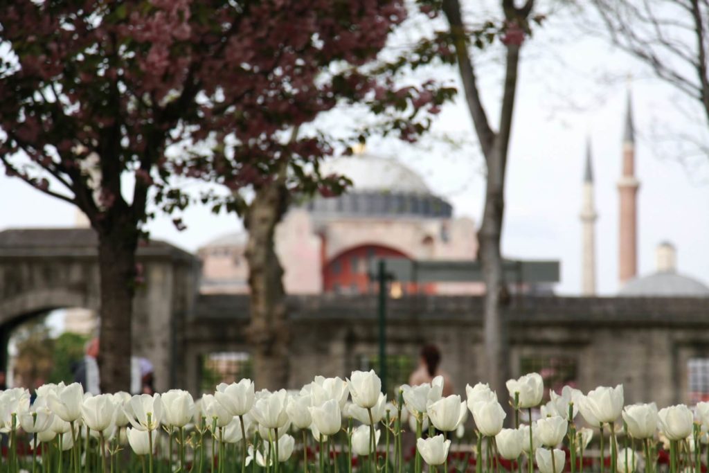 image mezquitas alrededor del mundo para visitar emre ergen cr0Zkieqkdw unsplash 1