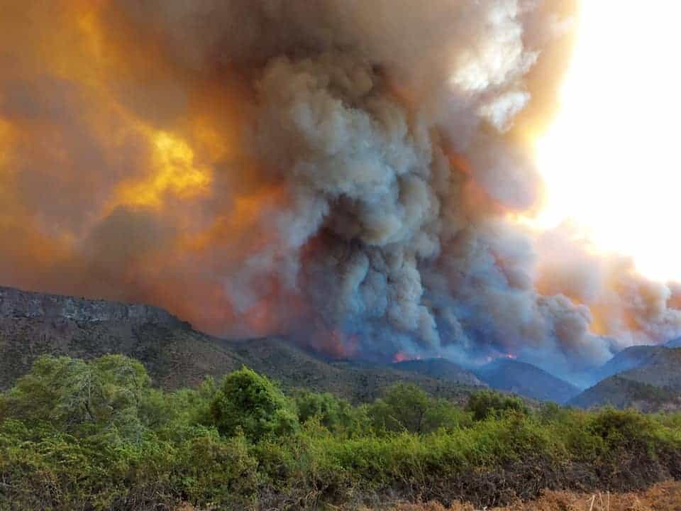 image incendios forestales en Río Negro incendio sur 1 1