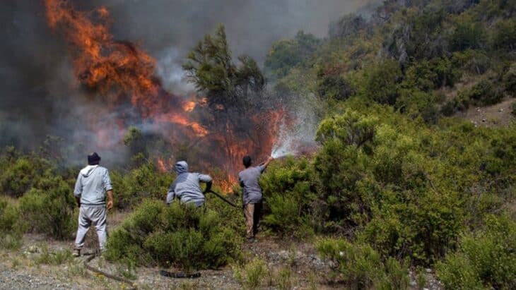 Desesperación en la Patagonia argentina por nuevos incendios forestales en Río Negro y Chubut: ya registran más de 40 mil hectáreas afectadas en todo el país en lo que va del 2021