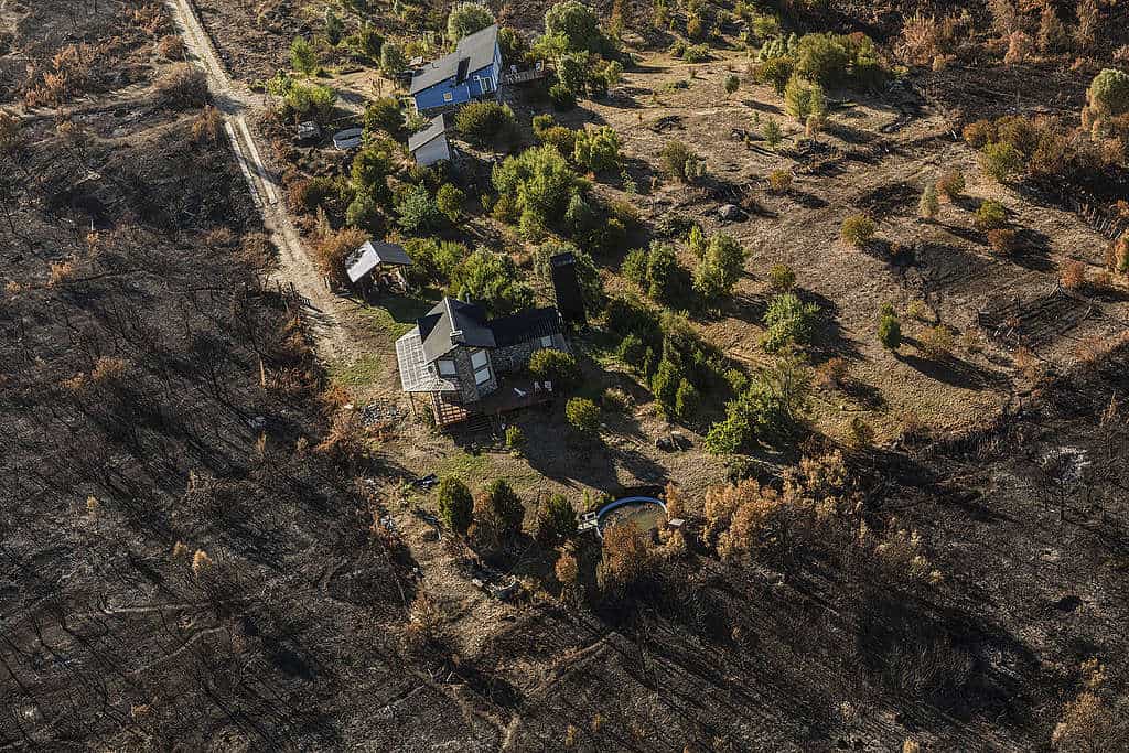 image Incendios en la Patagonia argentina incendios en la patagonia 5