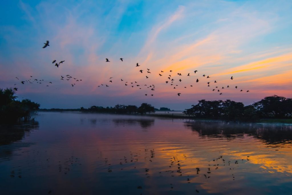 image Parque Nacional Kakadu karl jk hedin IyleUznwLBQ unsplash 1