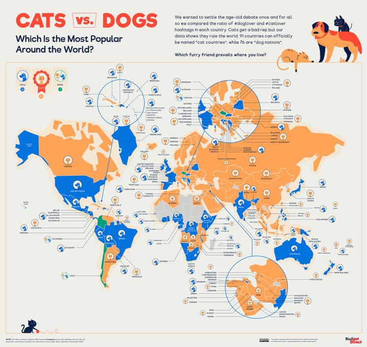 Duelo de perros y gatos: Este mapa permite descubrir qué tipo de mascota prefieren en diferentes países del mundo