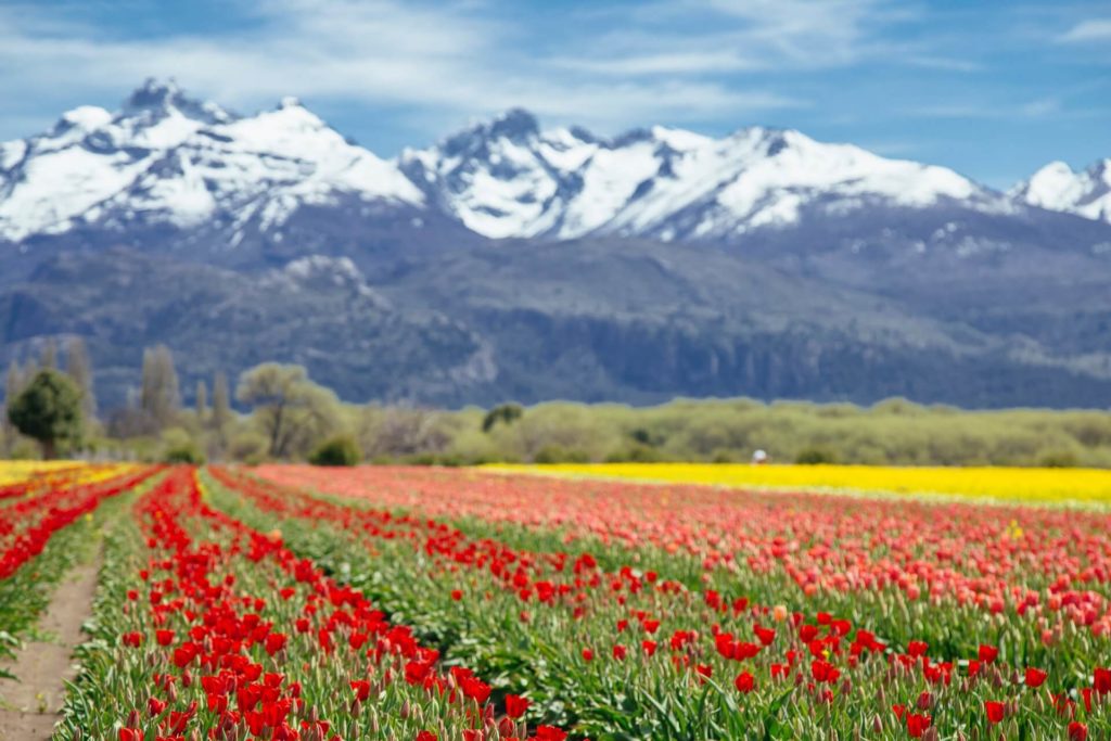 image destinos argentinos para visitar marcela rogante 3av5a8f98jY unsplash 1