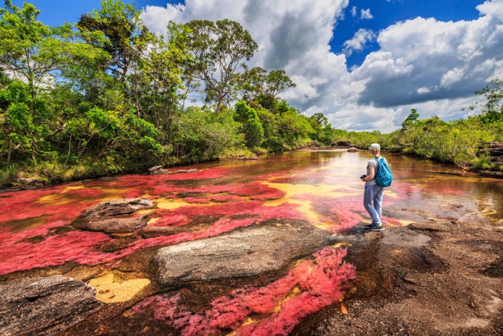 image realizar turismo sostenible en Colombia realizar turismo sostenible en Colombia