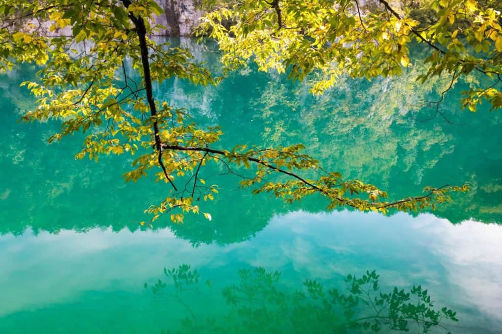 image Lagos de Plitvice sorin cicos SyWuJcVN1Z0 unsplash 1 1024x683 1