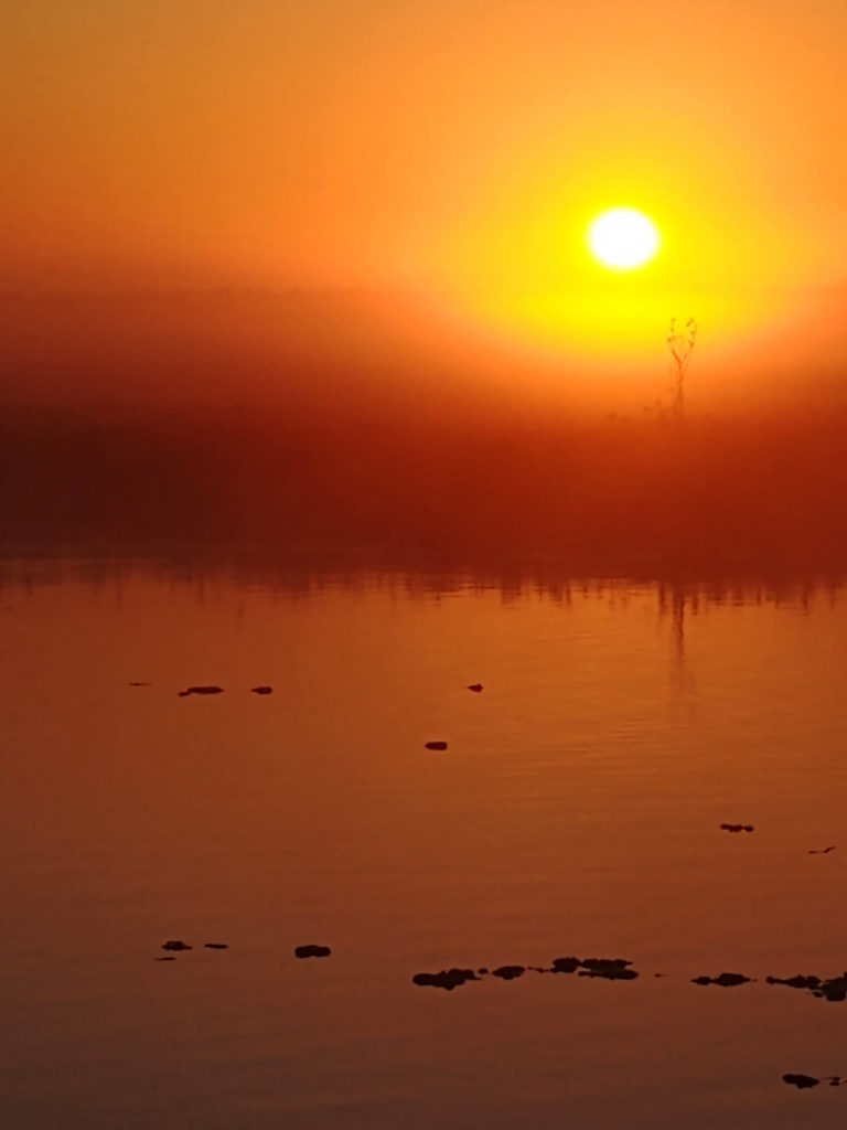 image Parque Nacional Kakadu susan bell 9nNFPJ14QbQ unsplash 1