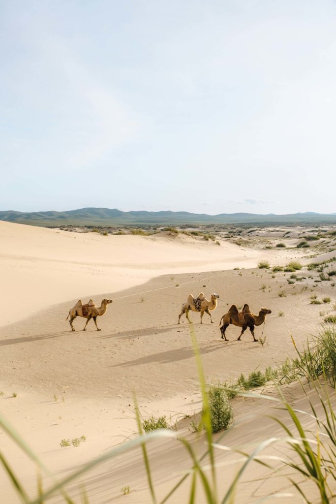 image sitios de Mongolia usukhbayar gankhuyag fjCihZthrAo unsplash 1