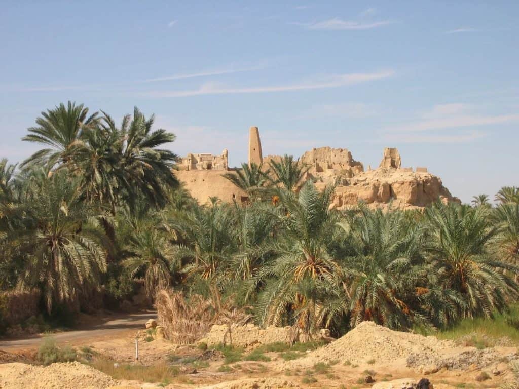 Cómo llegar al Oasis de Siwa, un oasis escondido que tienes que conocer en el desierto del Sahara