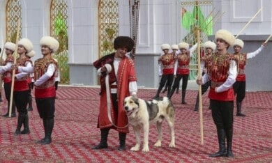 Turkmenistán ama tanto a los perros que tienen un día dedicado especialmente a su raza nacional.