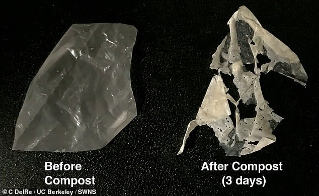 primer plástico biodegradable de un solo uso