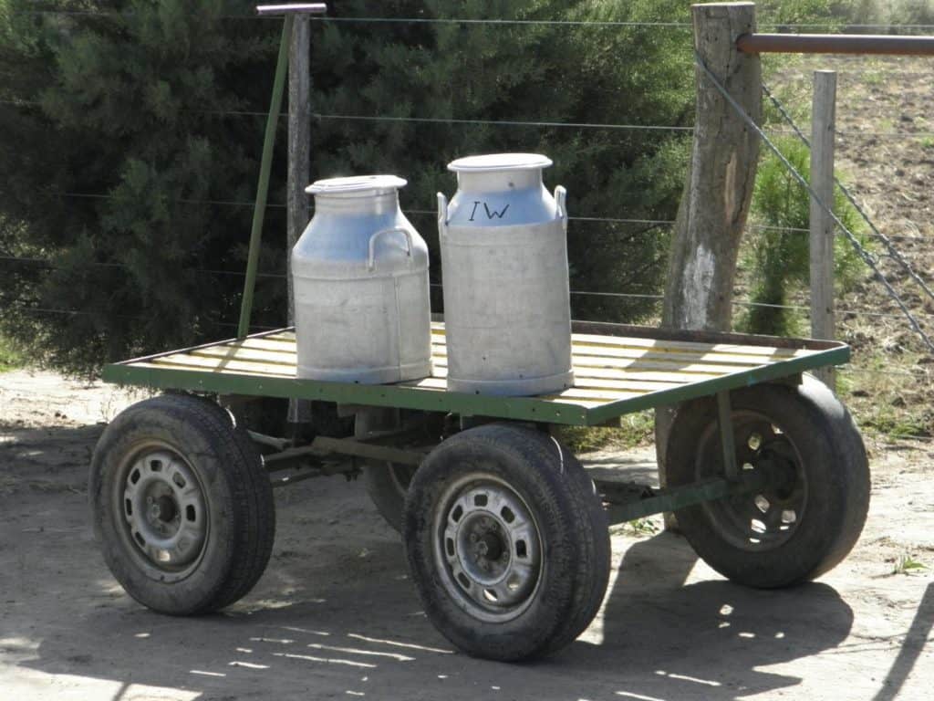 Trabajar en una colonia menonita