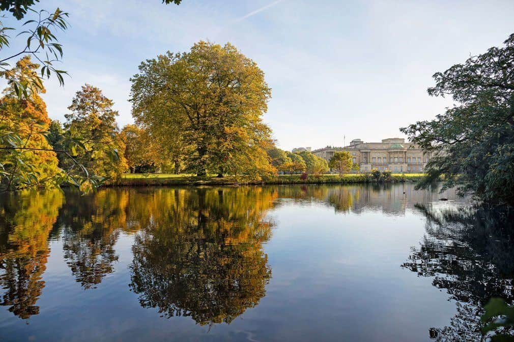 image Palacio de Buckingham Buckingham Palace gardens